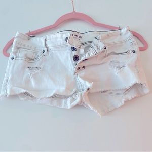 PAC Sun bullhead short shorts